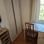 Tihi * זאדאר