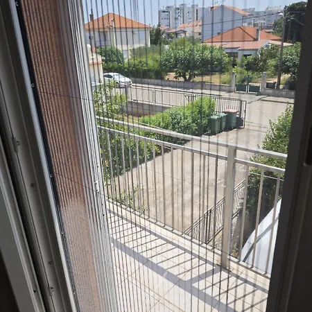 Tihi * זאדאר