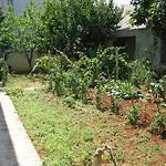 Tihi